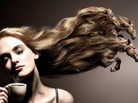 Ищу работу, фотография 1