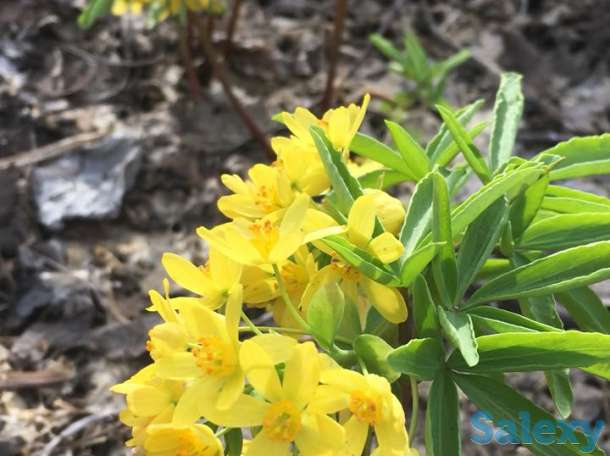 Реклама вашей базы отдыха, домика, фотография 5