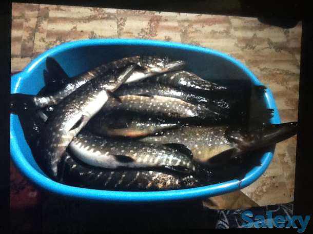 Добротный зимний дом в красивейшем месте, область,Хвойнинский район,ст.Кабожа, фотография 10