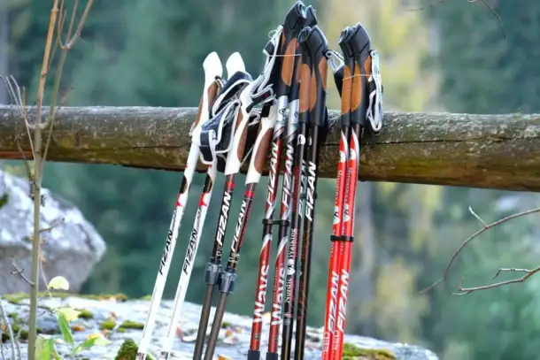 Cертифицированный инструктор по скандинавской ходьбе, фотография 6