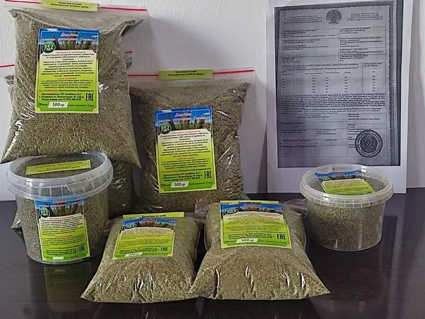 цитварная полынь или цитварное семя, фотография 1