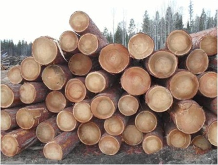 Пиломатериалы, фотография 1