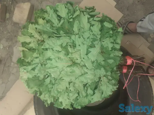 Продам дубовые веники, фотография 1