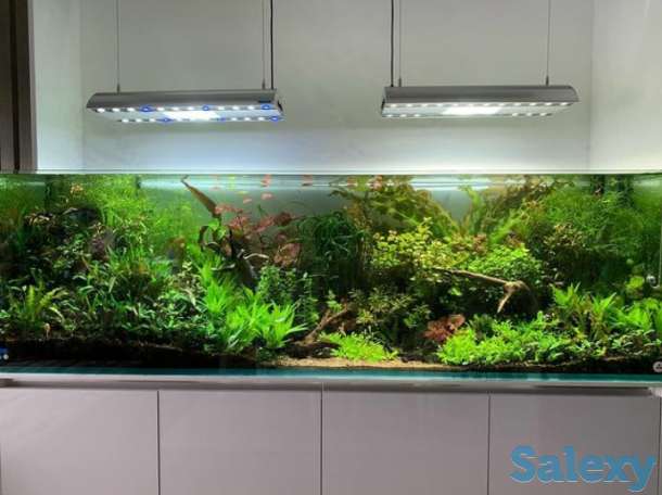 Аквариум изготовление в Алматы, фотография 4