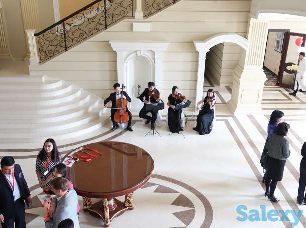 Струнный квартет для вашего мероприятия, фотография 2