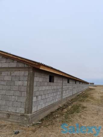 Фазенда (ферма), Капчагай-Курты 25 км, фотография 10