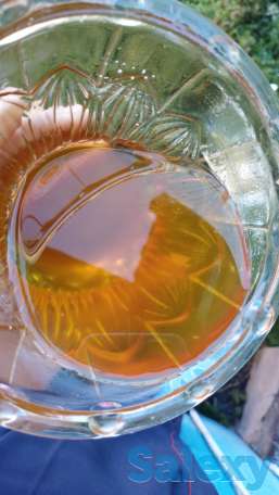 Продам Алтайский мед оптом, фотография 1