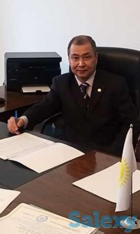 Консультация и помощь юриста, фотография 1