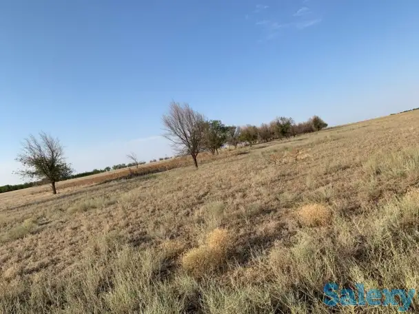 Продажа земельного участка, Алматинская область Илийский район, фотография 3