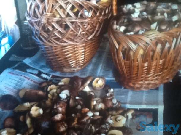 Добротный зимний дом в красивейшем месте, область,Хвойнинский район,ст.Кабожа, фотография 7