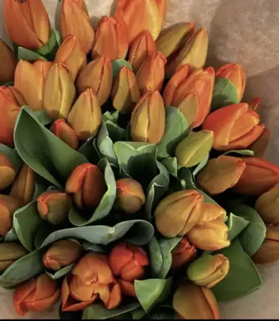 Тюльпаны премиум класса оптом к 8 марта, фотография 10