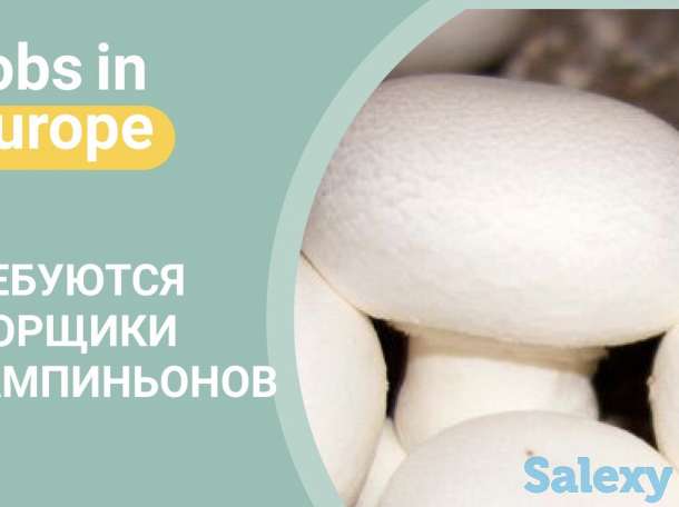 Работа в Польше, работа в Европе, виза в Польшу, фотография 7