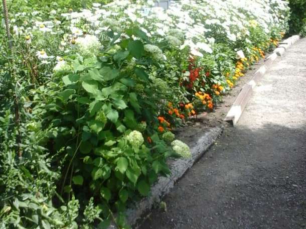 Продажа дома, п.Булакты 60м2, фотография 2