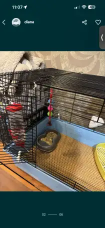 Продаю клетку для кроликовгрызунов, фотография 2