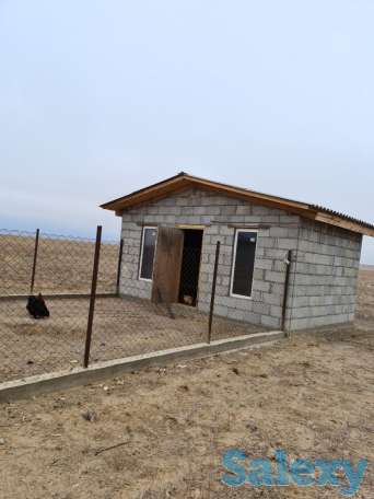 Фазенда (ферма), Капчагай-Курты 25 км, фотография 12