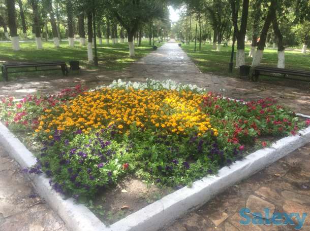 Продам квартиру, Кузембаева 72, фотография 4