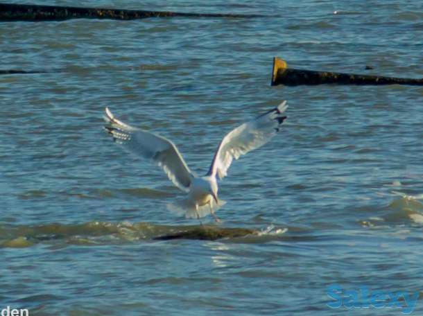 Видео-Фото, фотография 3