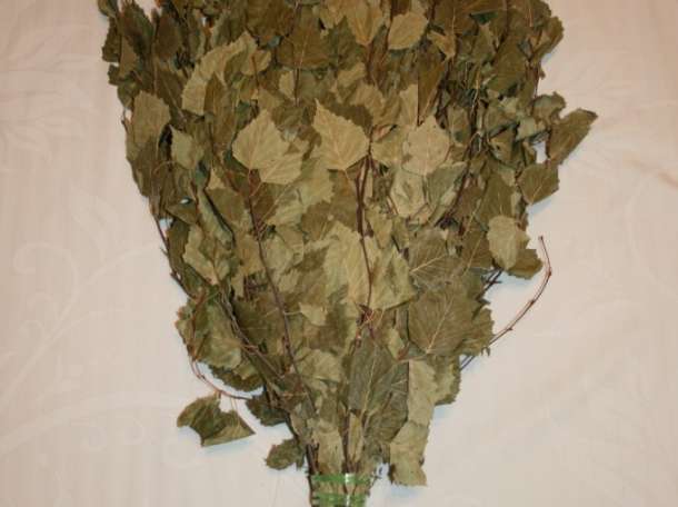 Веник для бани Канадский дуб, фотография 7