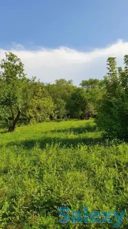 Продажа земли, с/х Горный Гигант, фотография 1