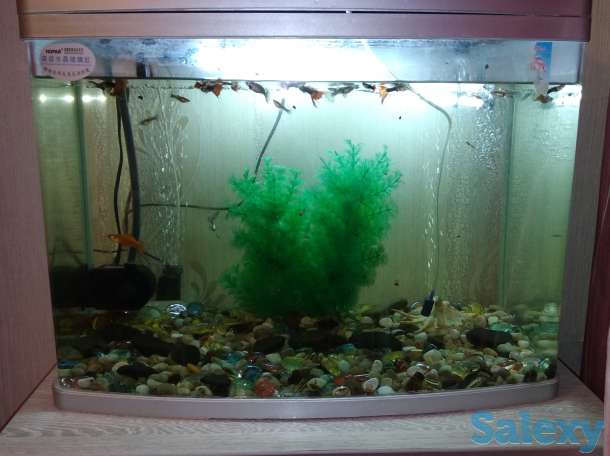 Продам в связи с отъездом, фотография 6