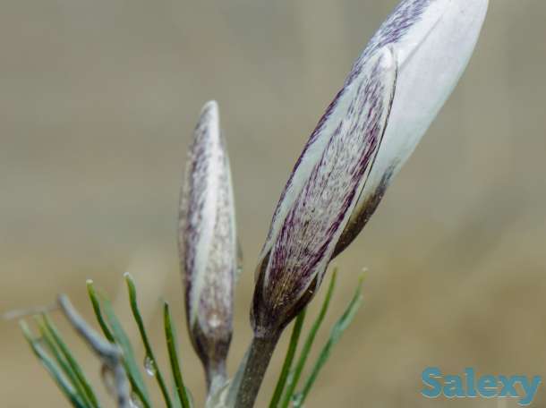 Видео-Фото, фотография 5