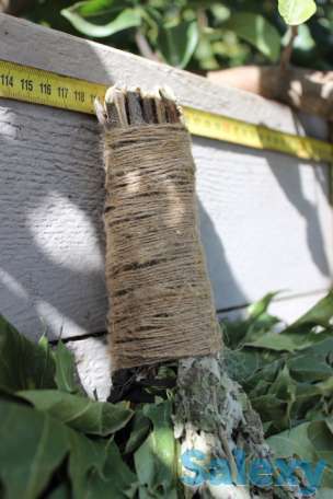 Премиальный банный Яр веник - канадский дуб с мятой, фотография 3