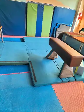 Изготавливаем спортивное оборудование для гимнастики, для детских садов и школ, для любителей и профессионалов, фотография 4