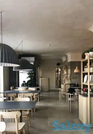 Декоративная штукатурка, декоративная краска,, фотография 7