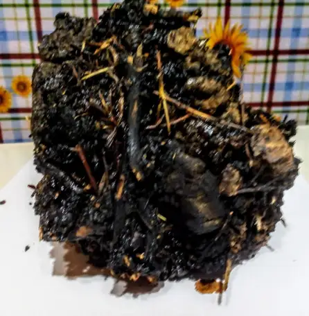 качественное Мумиё., фотография 4