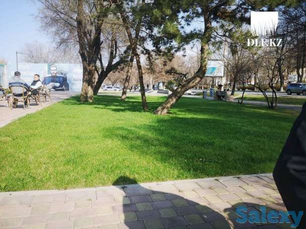 Спортивный газон Dlf Trifolium, фотография 2