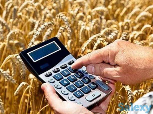 Специалист по субсидиям, фотография 1