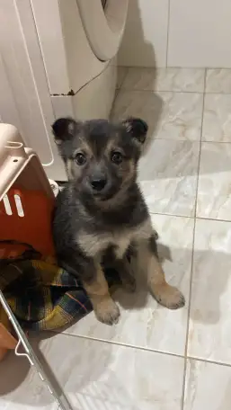 Забери меня к себе, Добрый человек, фотография 9