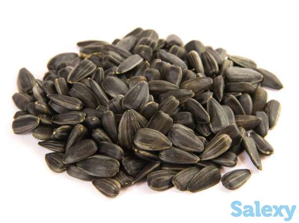 Семечки оптом, фотография 2