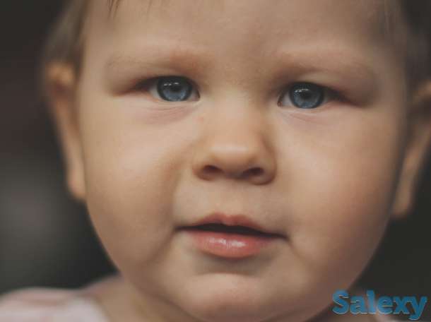 Фотограф, фотография 1