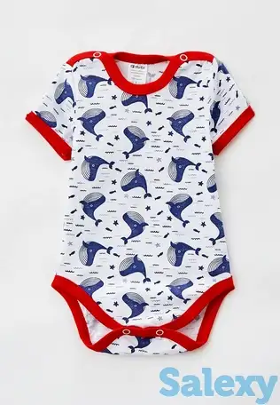 Боди котмаркот, фотография 1