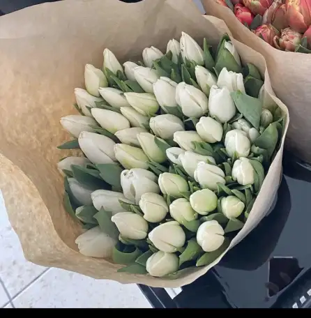 Тюльпаны оптом и в розницу к 8 марта, фотография 5