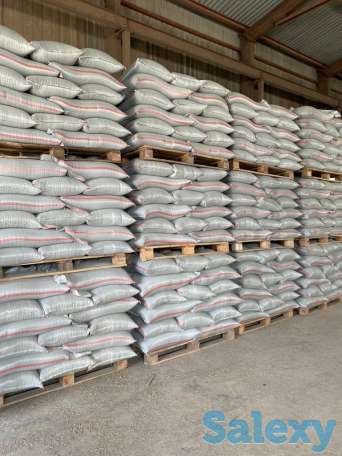 Отруби пшеничные. Отличного качества., фотография 3