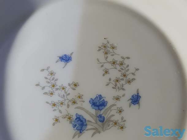 Тарелки Arcopal французские, были куплены во Франции 15 предметов, фотография 4