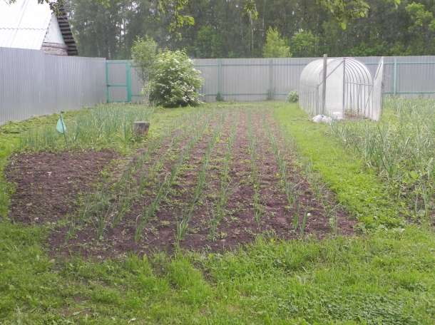 Продам дом с землей, Торжок Тверская обл. ул.Маяковского, фотография 5