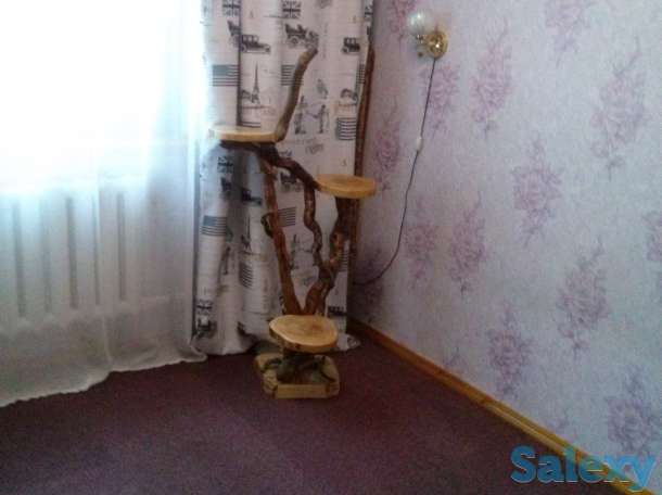 Продам дом или обменяю на квартиру в Алматы., фотография 7