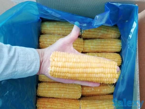 Замороженная Кукуруза в початках и в зёрнах, фотография 3