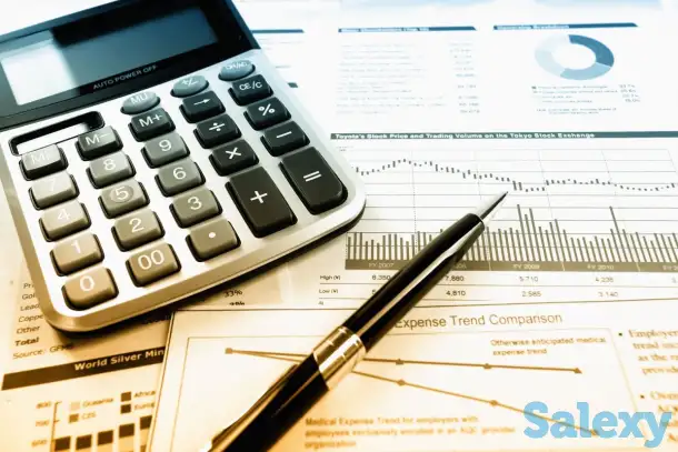 Сдам налоговую отчетность до 15.11.23, фотография 1