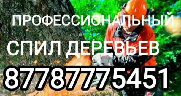 Спил деревьев любой сложности, размера и объёма. Недорого., фотография 1