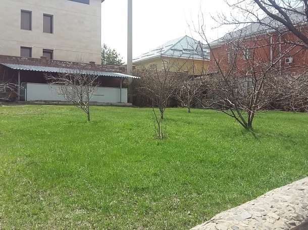 Продам дос, Багоношил, фотография 4