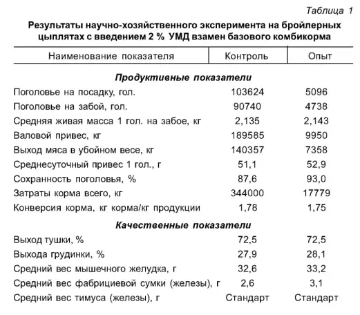 Кремнеуглерод, фотография 2