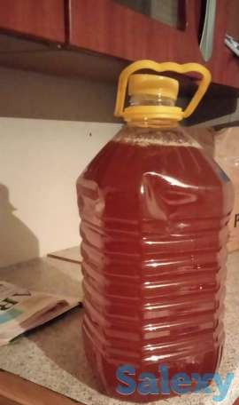 Продам Алтайский мед оптом, фотография 2