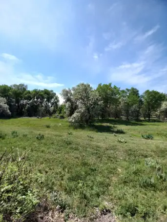 ПРОДАМ ЗЕМЛЮ! СРОЧНО! ТОРГ УМЕСТЕН., фотография 2