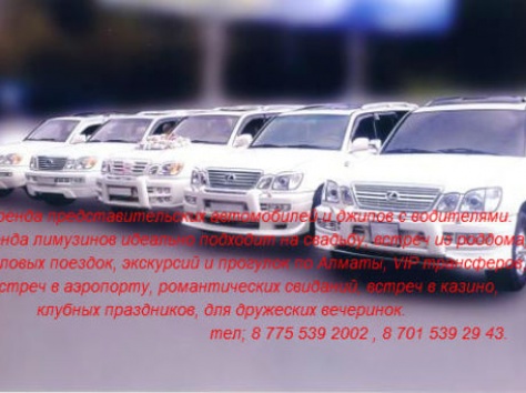 Фото и видеосъемка, фотография 15