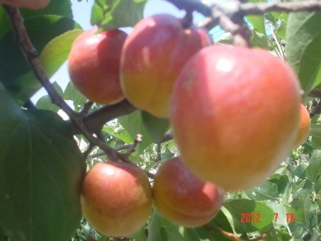 продам дом, ул. Курмангазы, фотография 1