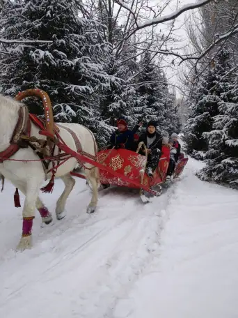 продам сани большие под лошадь, фотография 2